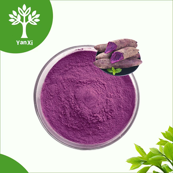 Purple Sweet Potato Powder Purple Sweet Potato Powder
